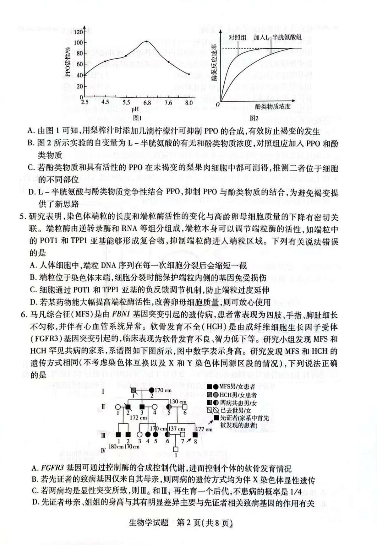 2025届安徽省天一联考高三下学期5月最后一卷生物试题+答案第2页