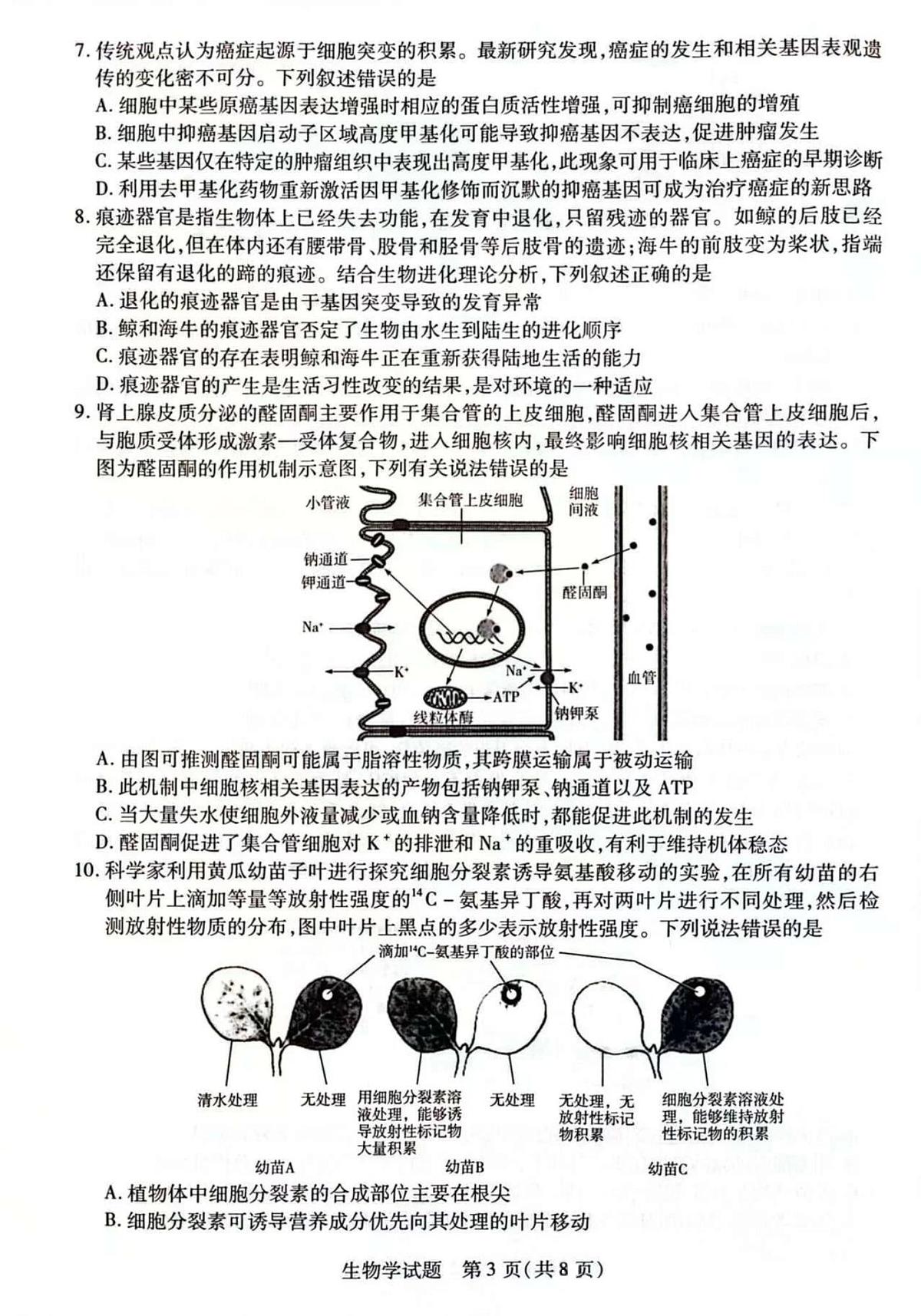 2025届安徽省天一联考高三下学期5月最后一卷生物试题+答案第3页