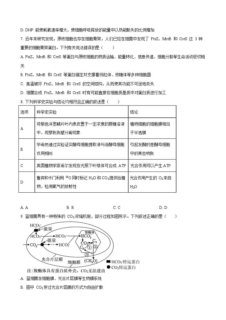 黑龙江省哈尔滨市第三中学校2025-2026学年高三上学期9月月考生物试卷第3页