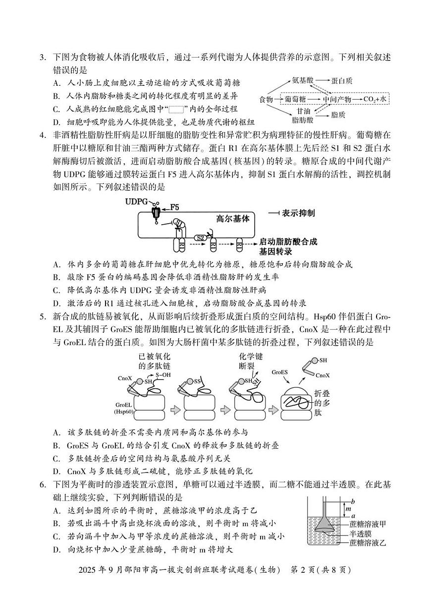 生物-湖南省邵阳市部分学校2025-2026学年高一上学期9月拔尖创新班联考试题及答案第2页