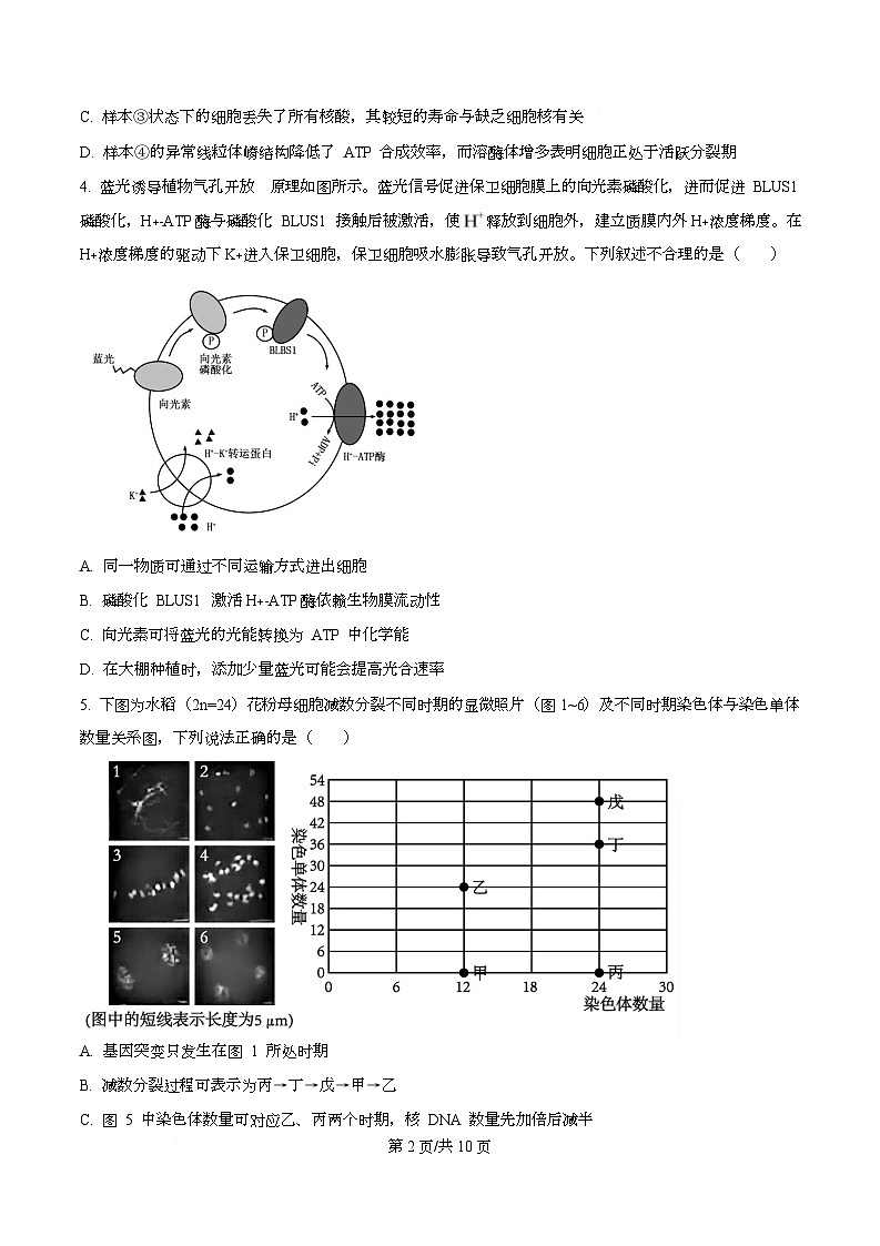 安徽省六校联考2025-2026学年高三上学期开学生物试题  Word版无答案第2页