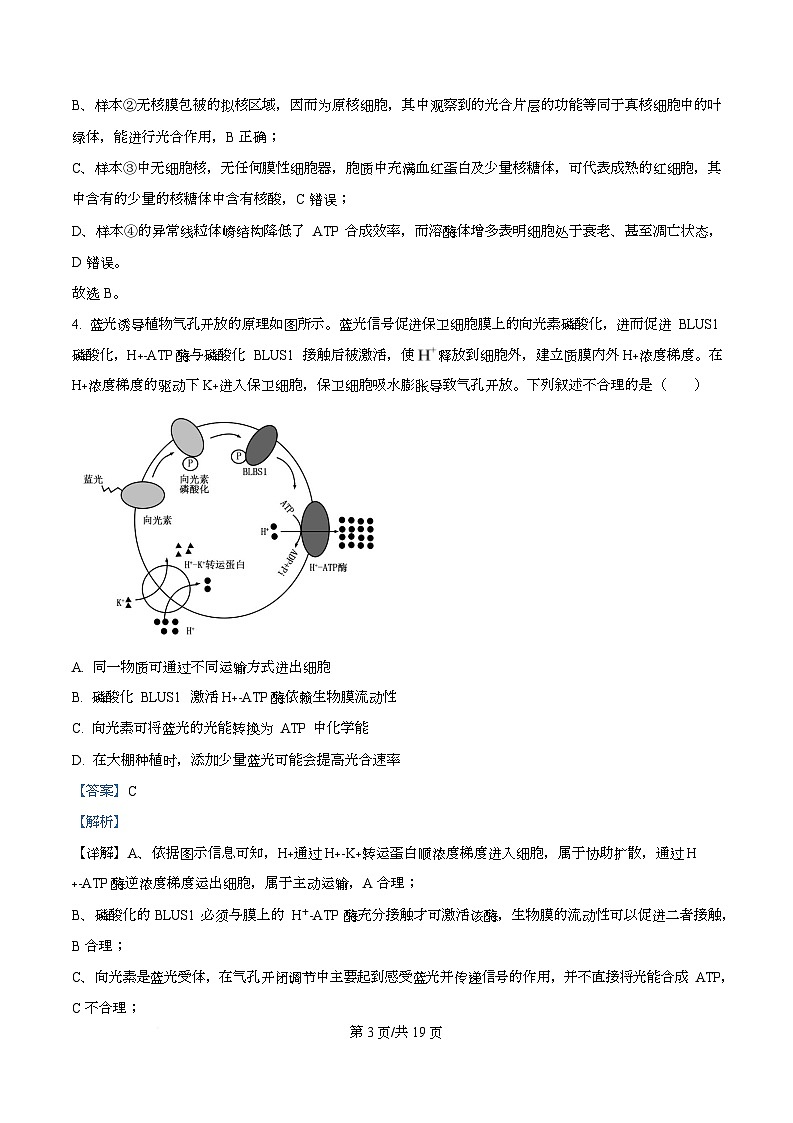安徽省六校联考2025-2026学年高三上学期开学生物试题  Word版含解析第3页