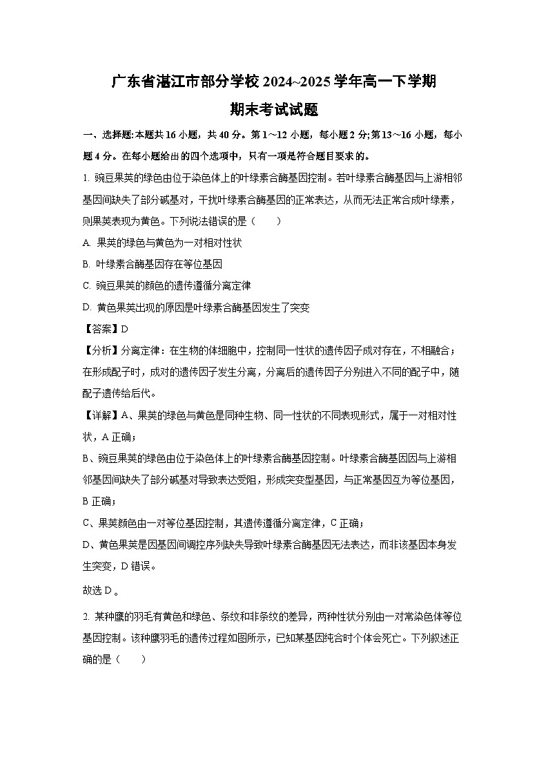 广东省湛江市部分学校2024~2025学年高一下学期期末考试生物试卷（解析版）第1页
