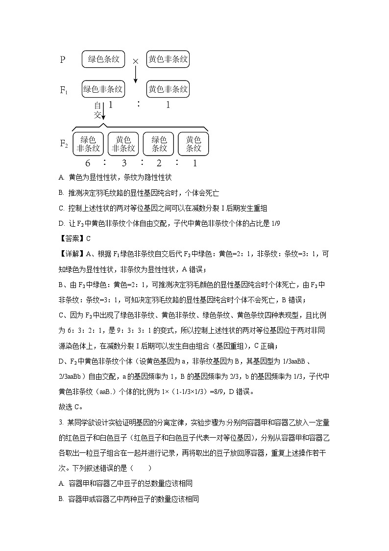 广东省湛江市部分学校2024~2025学年高一下学期期末考试生物试卷（解析版）第2页