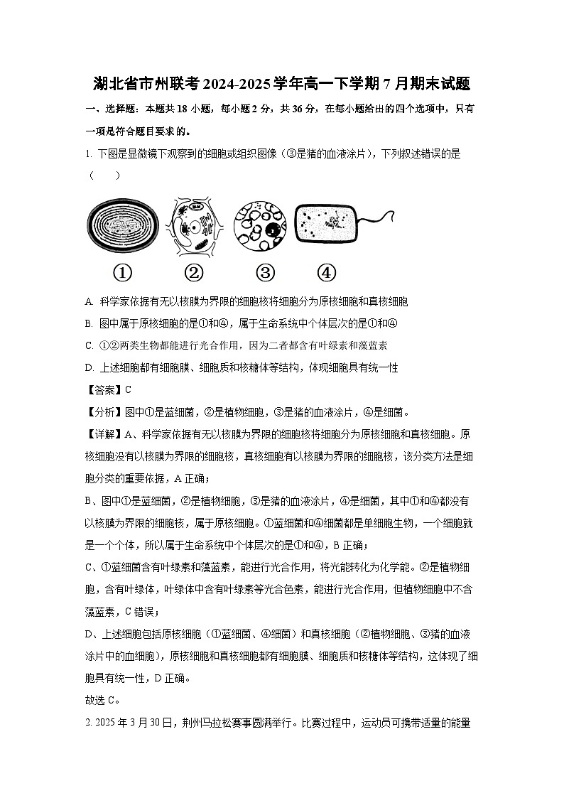 湖北省市州联考2024-2025学年高一下学期7月期末生物试卷（解析版）第1页
