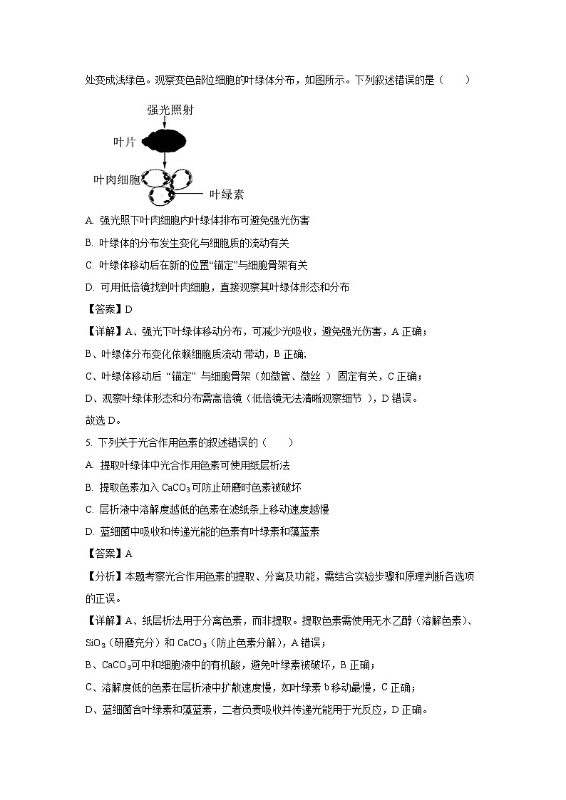 山东省济南市2024-2025学年高一下学期7月期末统考 生物试卷（解析版）第3页