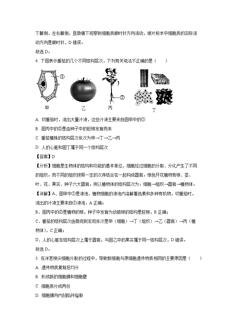 福建省泉州市部分地区2024-2025学年高一上学期开学考试生物试卷（解析版）第3页