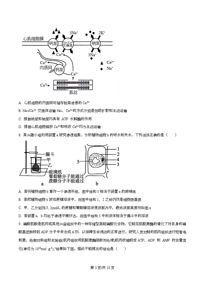 重庆市南开中学2026届高三上学期开学生物试题（原卷版）第3页