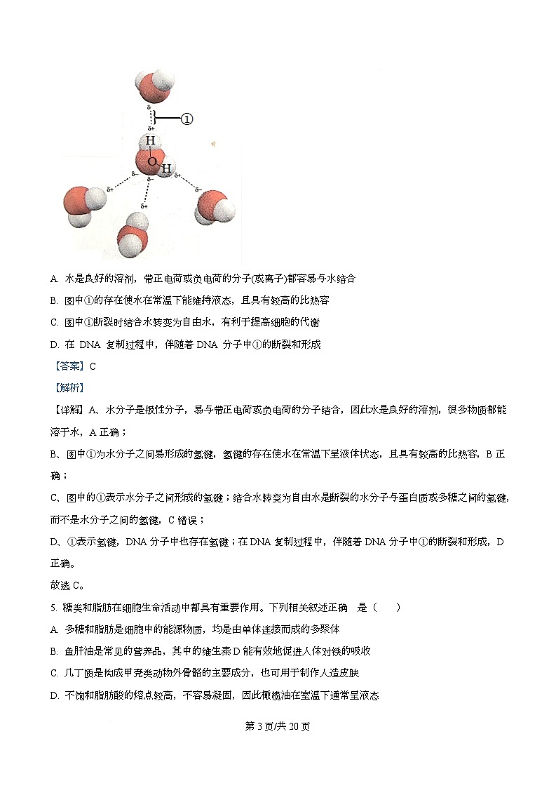 重庆市南开中学2026届高三上学期开学生物试题含解析第3页