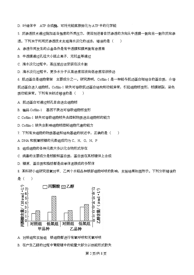 四川省内江市第一中学2026届高三上学期暑期自学效果检测生物试题（原卷版）第2页