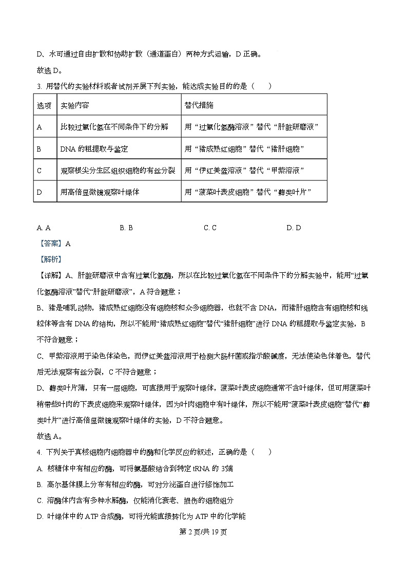 四川省内江市第一中学2026届高三上学期暑期自学效果检测生物试题含解析第2页