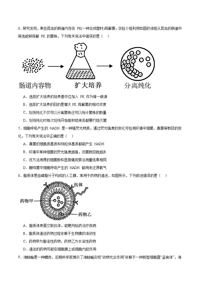 2026内蒙古自治区点石联考高三上学期9月联合考试生物含答案第2页