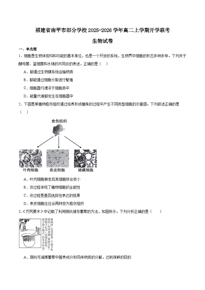 福建省南平市部分学校2025-2026学年高二上学期开学联考生物试卷（Word版附答案）第1页