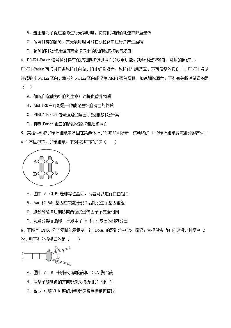 福建省南平市部分学校2025-2026学年高二上学期开学联考生物试卷（Word版附答案）第2页