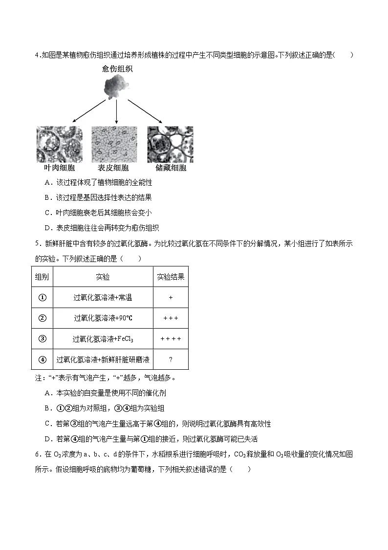 河南省部分学校2025-2026学年高二上学期开学考试生物试卷（Word版附答案）第2页