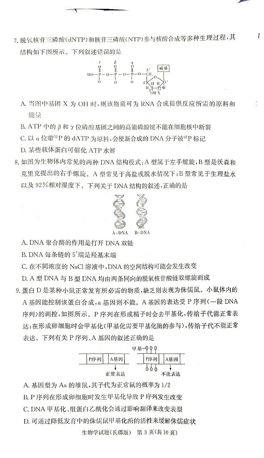2025届炎德·英才大联考湖南长郡中学高三月考试卷(二)生物试卷+答案第3页