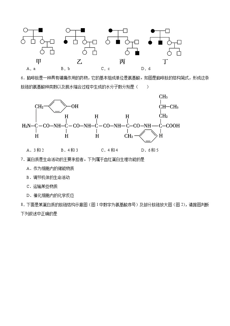 吉林省梅河口市第五中学2025-2026学年高二上学期开学考试生物试卷（Word版附答案）第2页