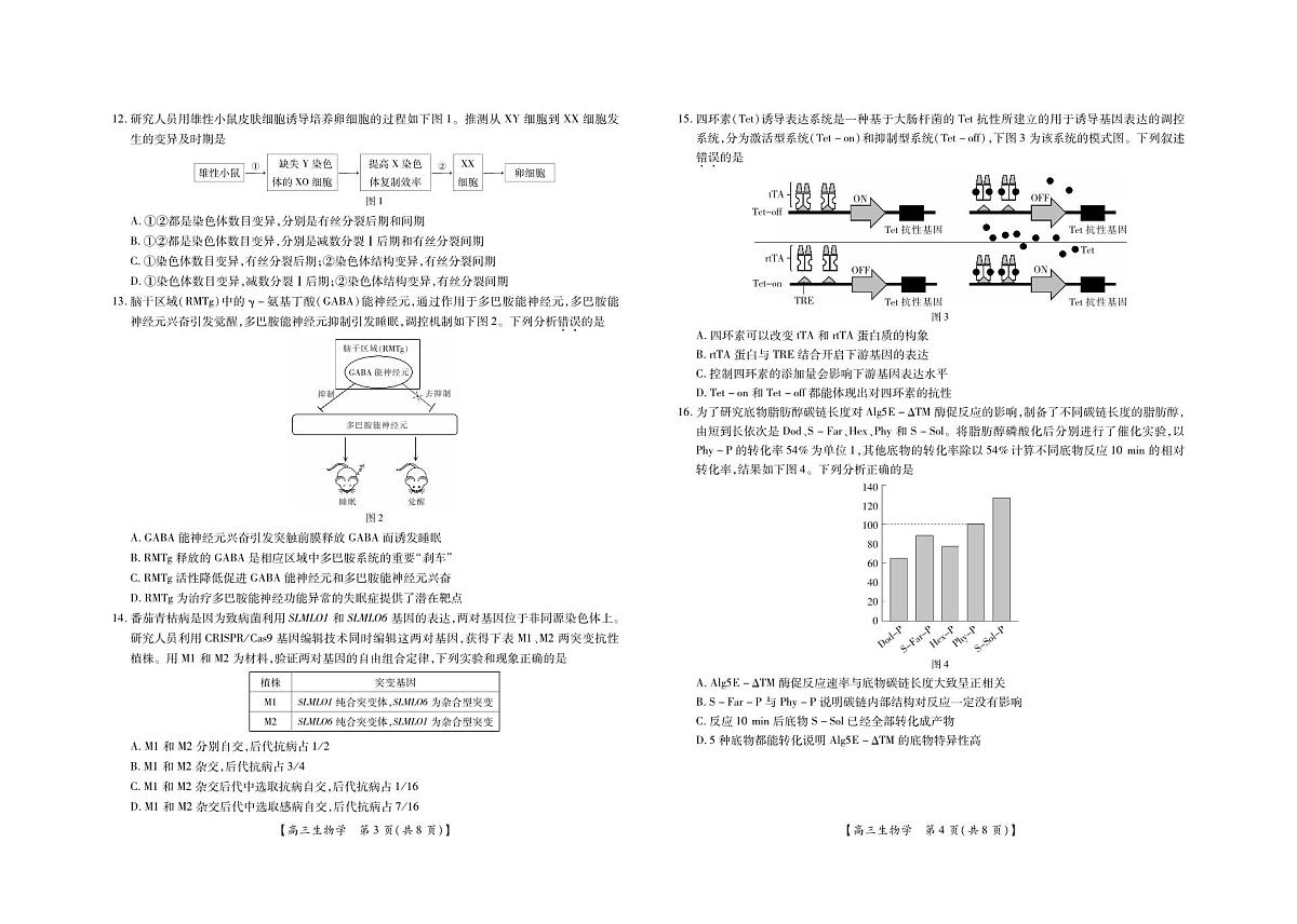 2025届湛江市普通高中高三10月调研测试生物试卷+答案第2页