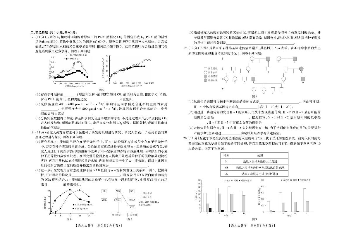 2025届湛江市普通高中高三10月调研测试生物试卷+答案第3页