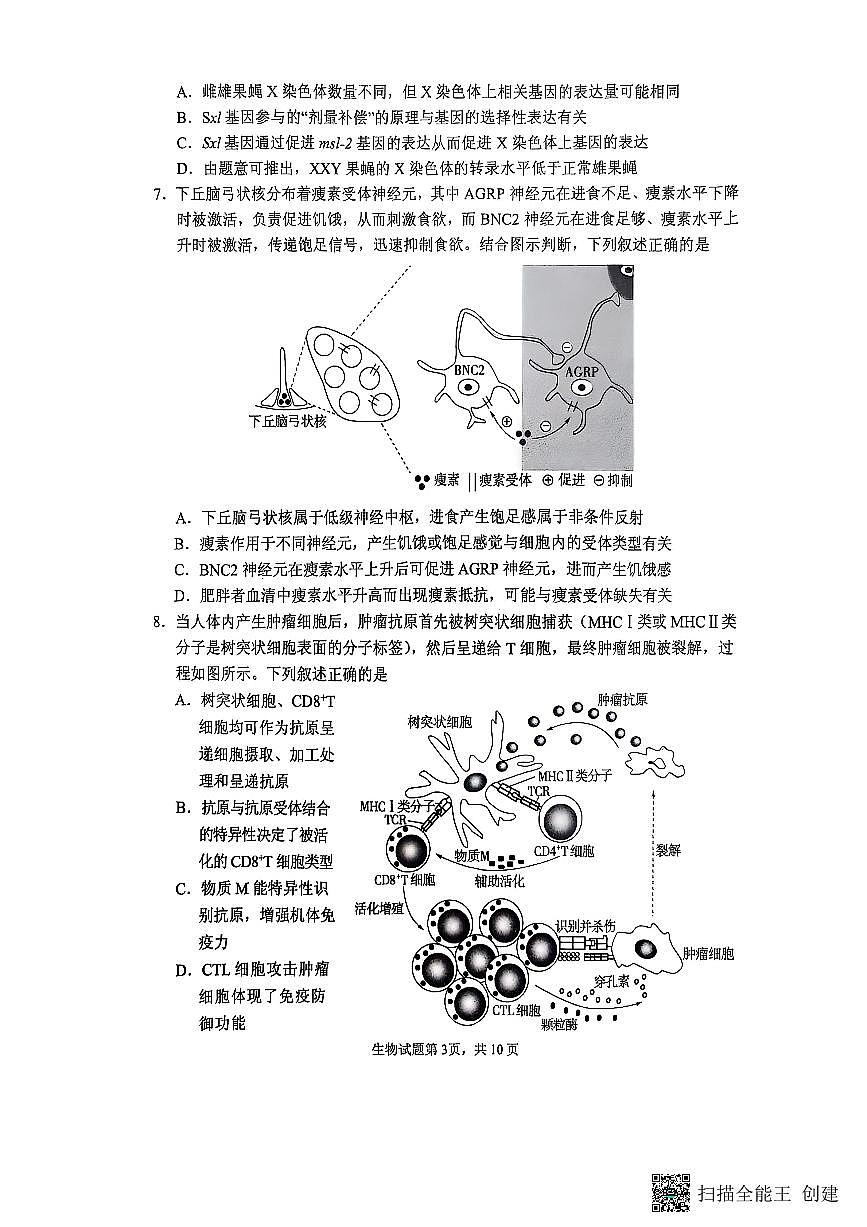 2025届山东省实验中学高三下学期第四次诊断考试生物试题+答案第3页