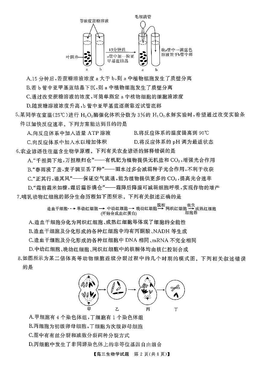 2025届山西省三重教育高三10月联考生物试卷+答案第2页