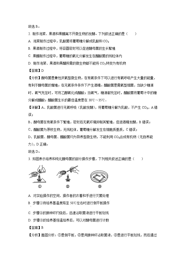 四川省成都市蓉城联考2024-2025学年高二下学期4月期中考试生物试卷（解析版）第2页