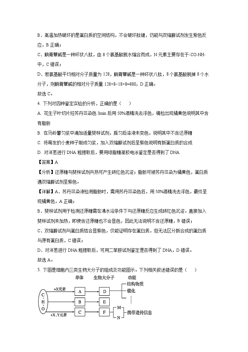广东省东莞市七校联考2024-2025学年高二下学期期中生物试卷（解析版）第3页