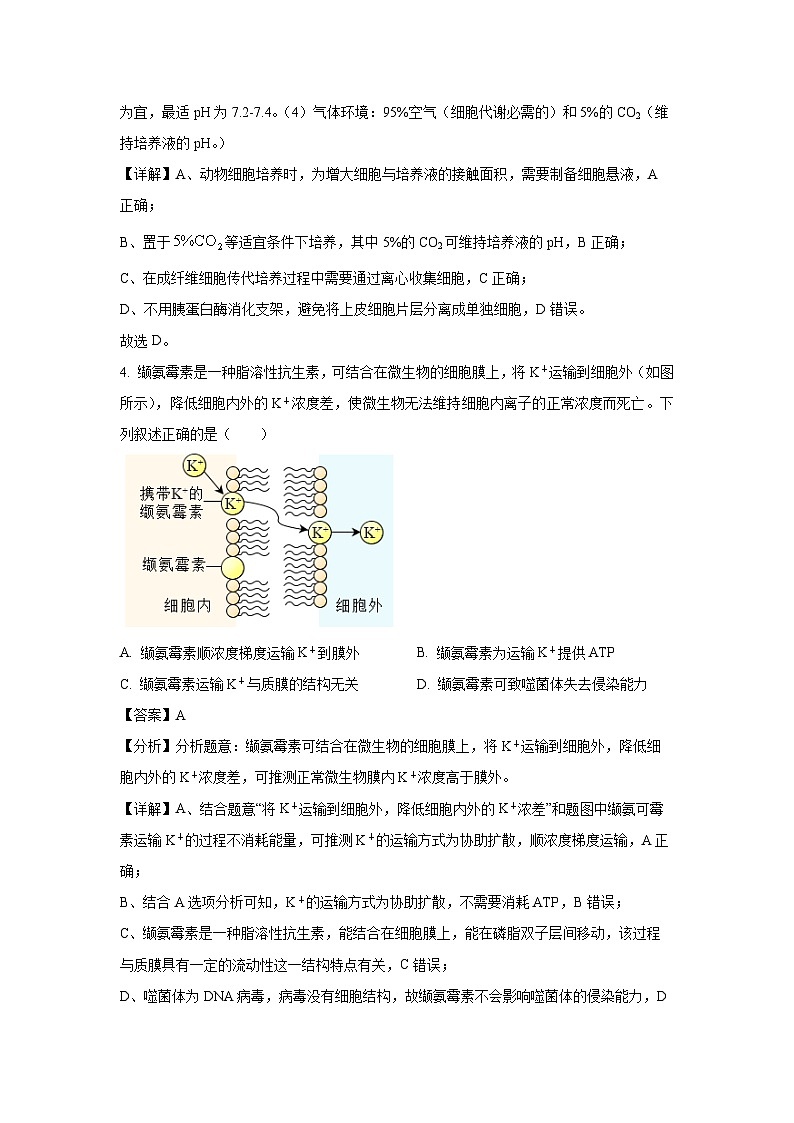 内蒙古呼和浩特市2025-2026学年高三上学期质量监测 生物试卷（解析版）第3页