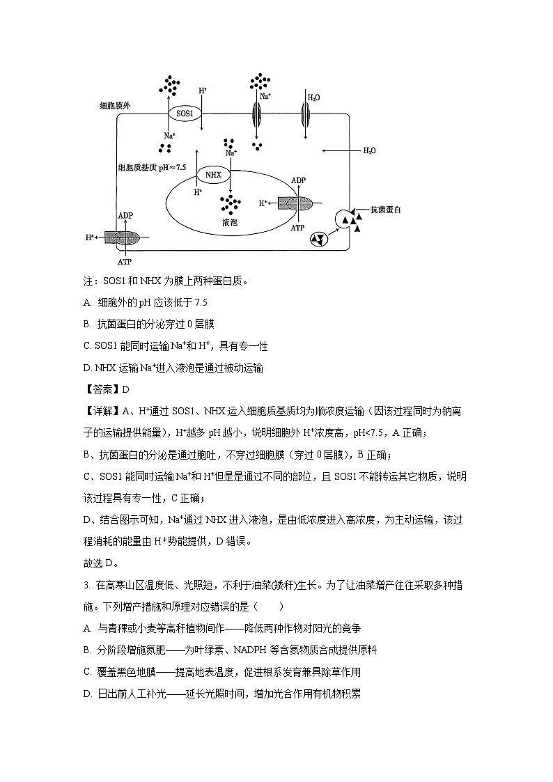 江西省上进联考2025—2026学年新高三秋季入学考试生物试卷（解析版）第2页