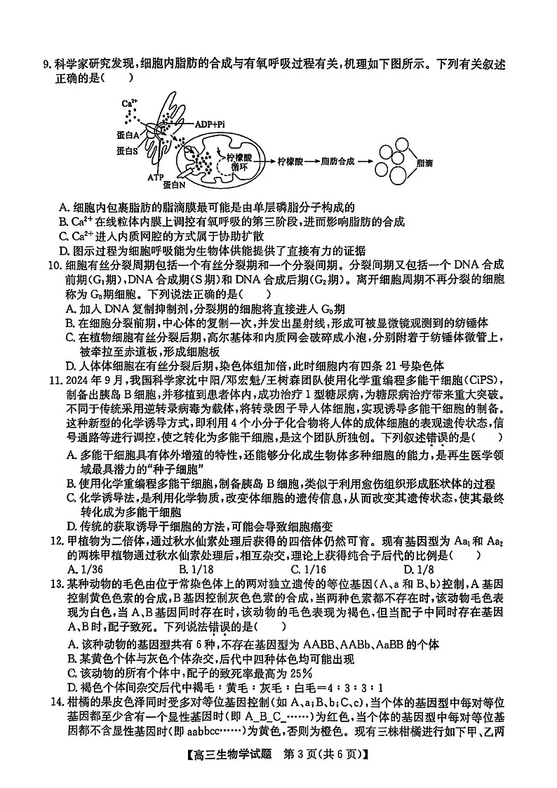 2025届安徽省五校联考高三下学期11月联考(一)-生物试题（含答案）第3页