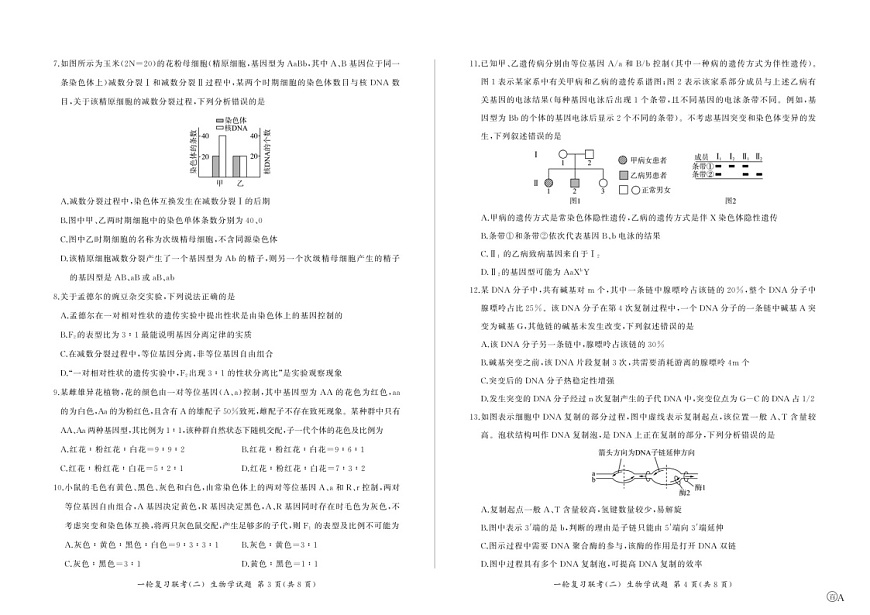 2025届百师联盟云贵川高三下学期11月复习联考（二）-生物试题（含答案）第2页