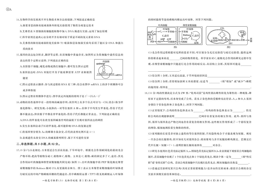 2025届百师联盟云贵川高三下学期11月复习联考（二）-生物试题（含答案）第3页