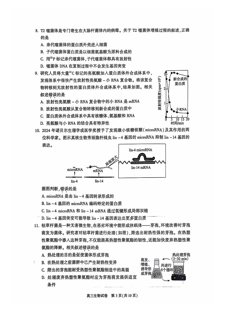 2025届北京市朝阳区高三下学期11月期中质量检测-生物试卷（含答案）第3页