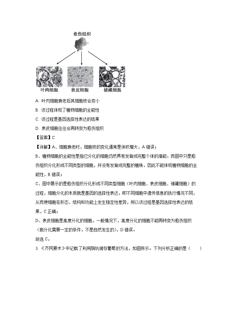 福建省南平市部分学校2025-2026学年高二上学期开学联考生物试题（解析版）第2页