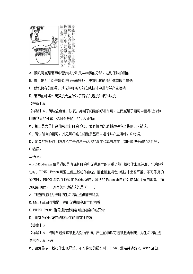 福建省南平市部分学校2025-2026学年高二上学期开学联考生物试题（解析版）第3页