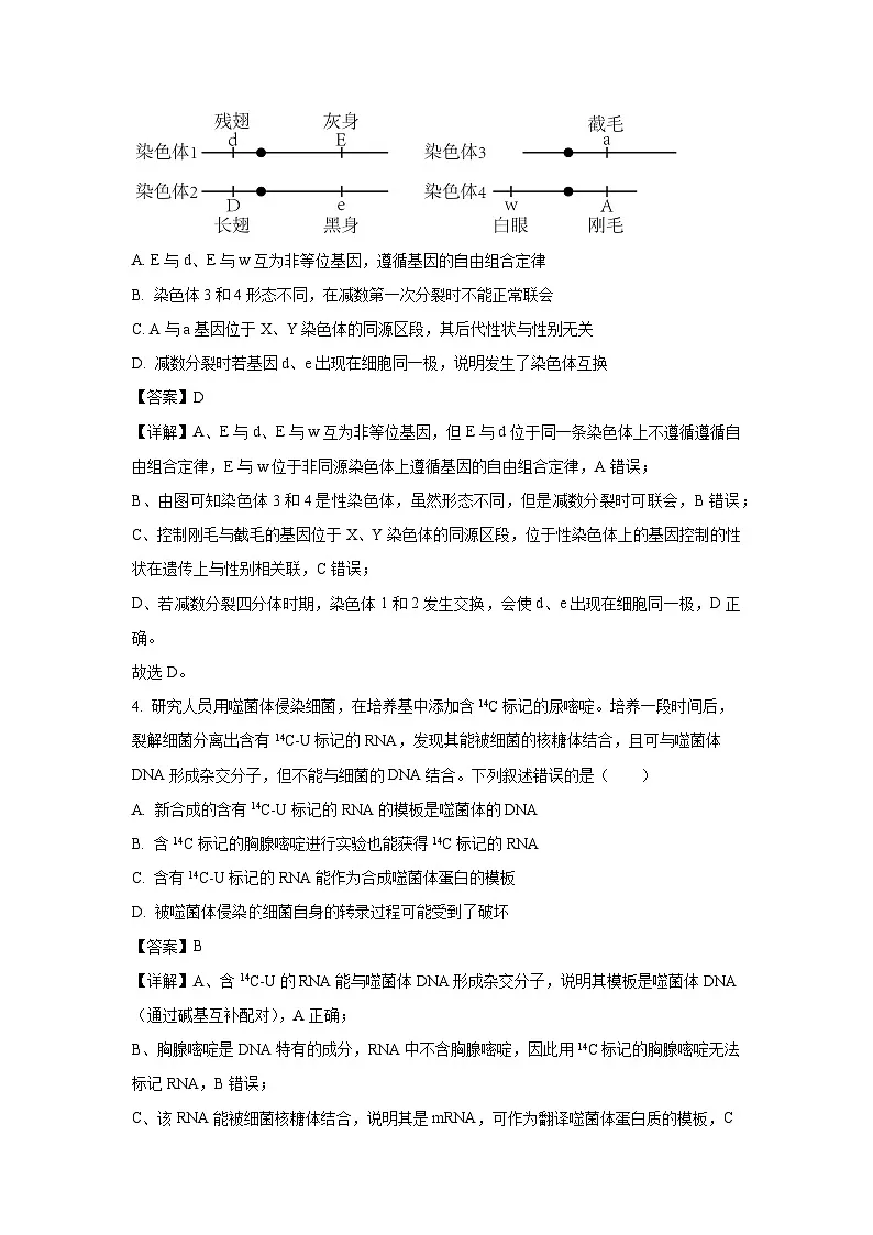 广东省深圳市龙华区2024-2025学年高二下学期期末调研测试生物试题（解析版）第3页
