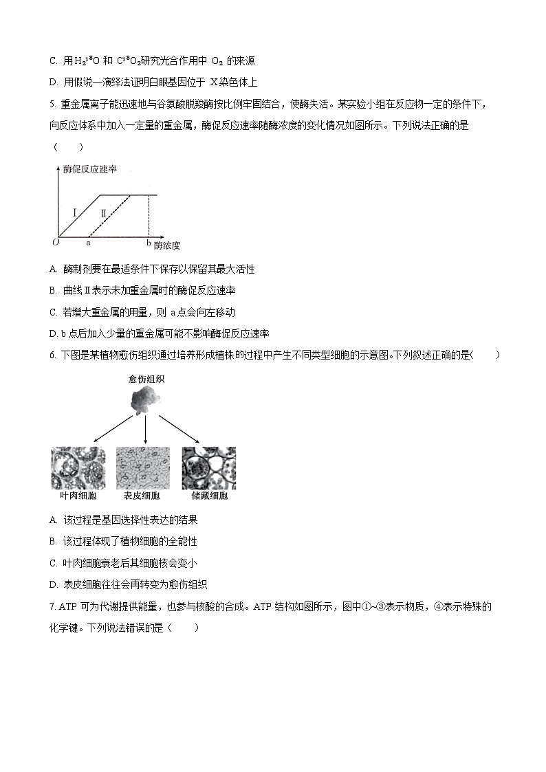 辽宁省部分学校2025-2026学年高二上学期9月开学联考生物试卷第2页