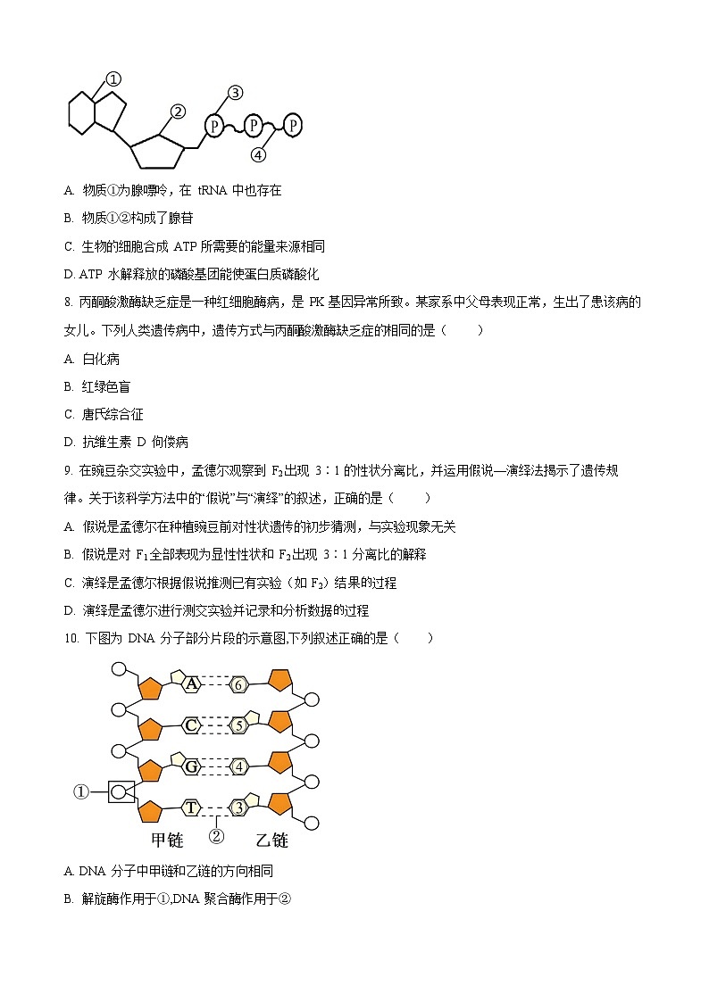 辽宁省部分学校2025-2026学年高二上学期9月开学联考生物试卷第3页