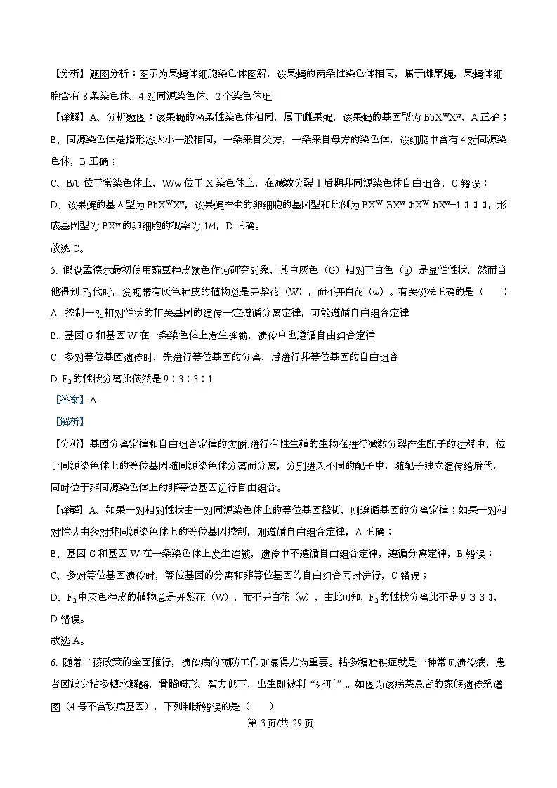 四川省绵阳市东辰国际学校2025-2026学年高二上学期开学分班检测生物试卷 Word版含解析第3页