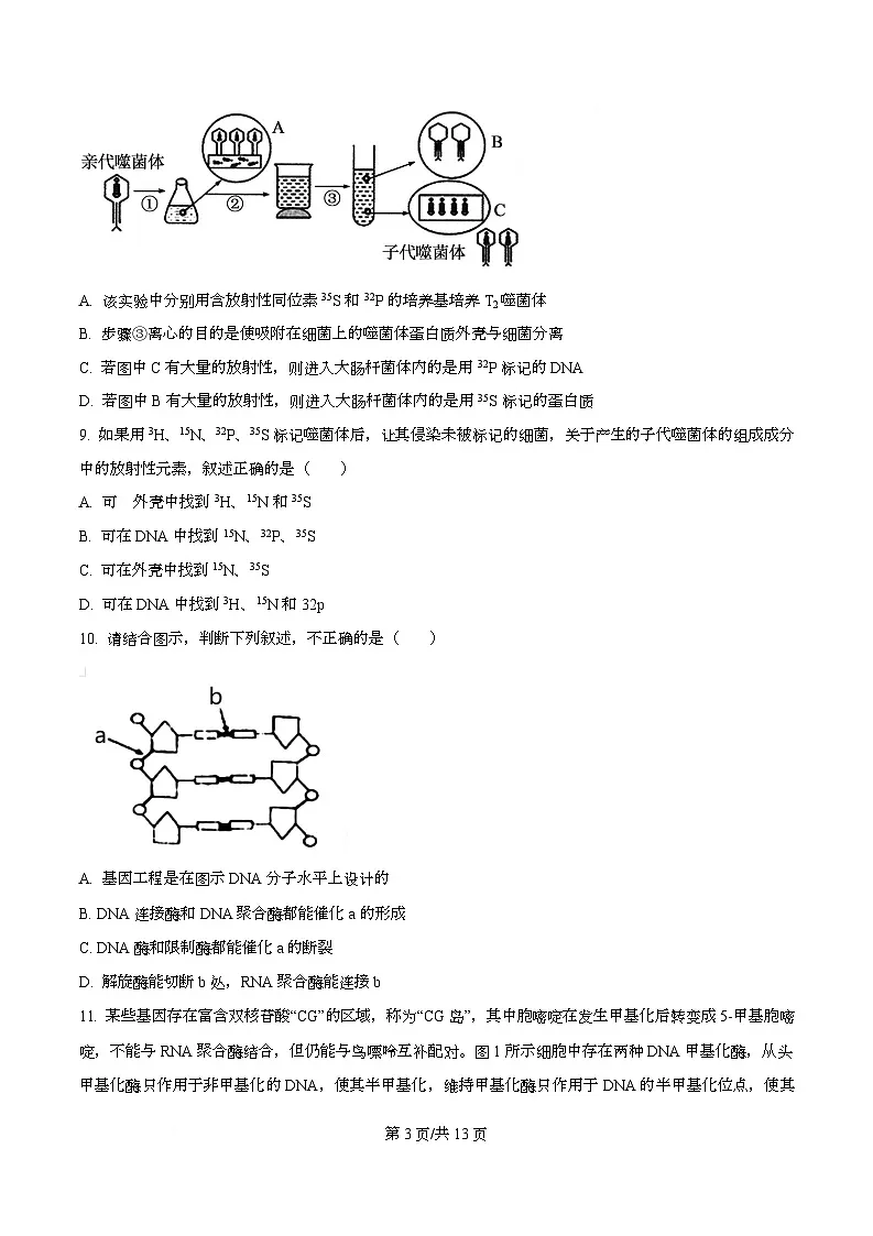 四川省绵阳市东辰国际学校2025-2026学年高二上学期开学分班检测生物试卷（原卷版）第3页