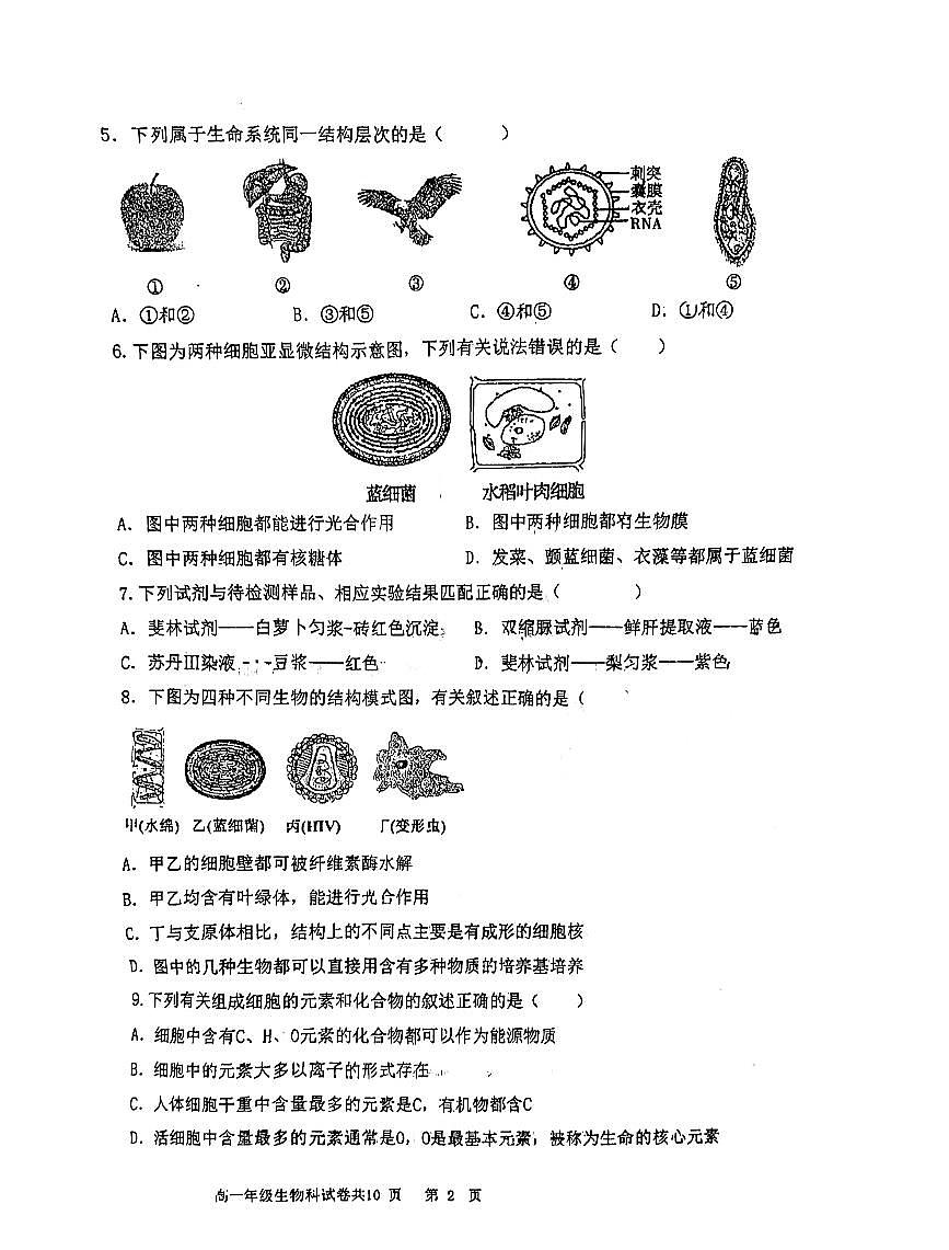 辽宁省鞍山市第一中学2024-2025学年上学期第一次月考高一生物试卷（含答案）第2页