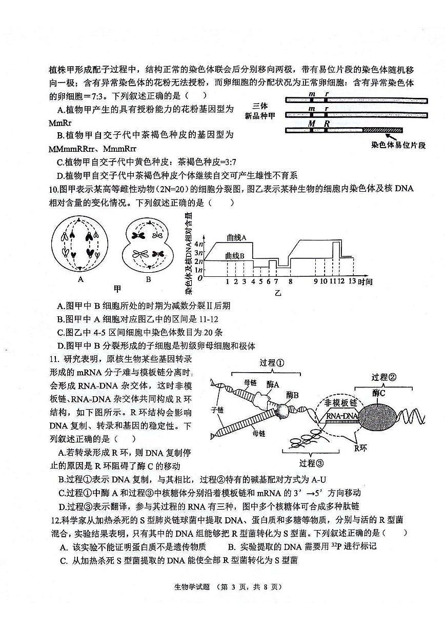 2025届陕西省西安市高三上学期11月联考生物试卷+答案第3页