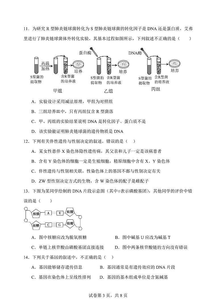 云南省玉溪市一中2024-2025学年高一下学期期中考试生物试卷+答案第3页