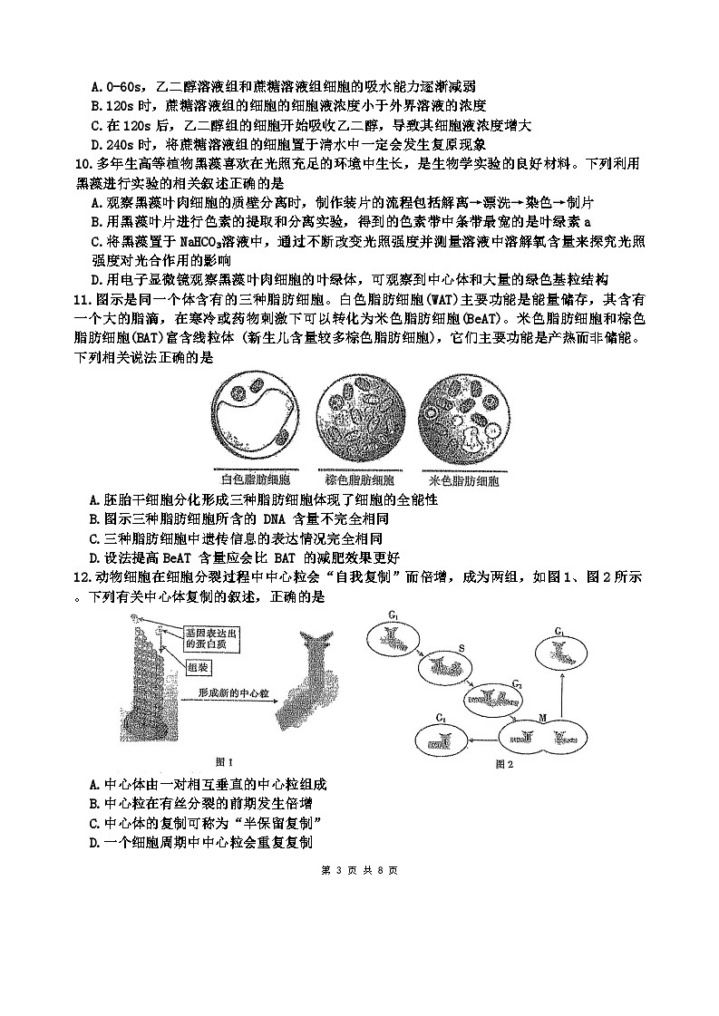 海南中学2026届高三年级第0次月考生物第3页