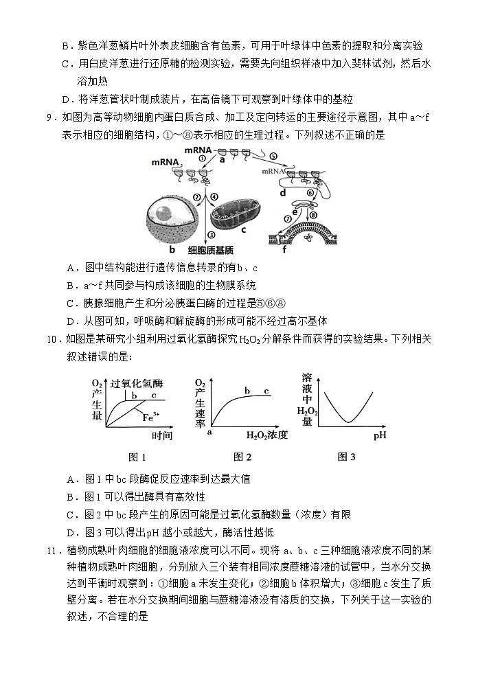 海南省文昌中学2025-2026学年高三上学期第一次月考生物试题第3页