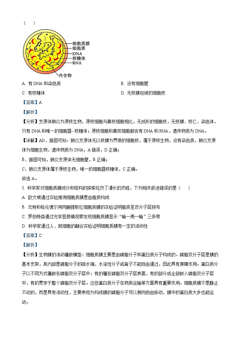 江苏省徐州市2023-2024学年高一1月期末生物试题（解析版）第3页