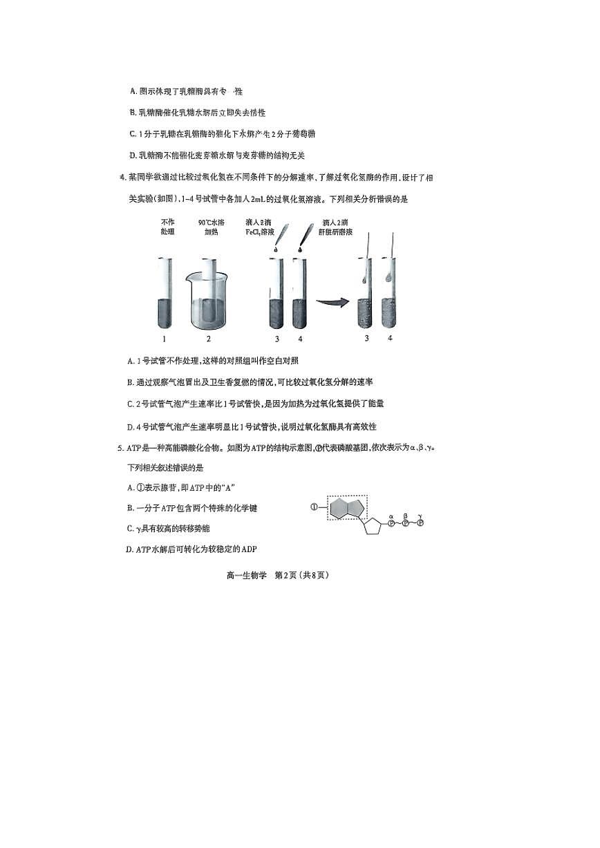 山西省太原市2024-2025学年高一上学期期末考试生物试卷+答案第2页