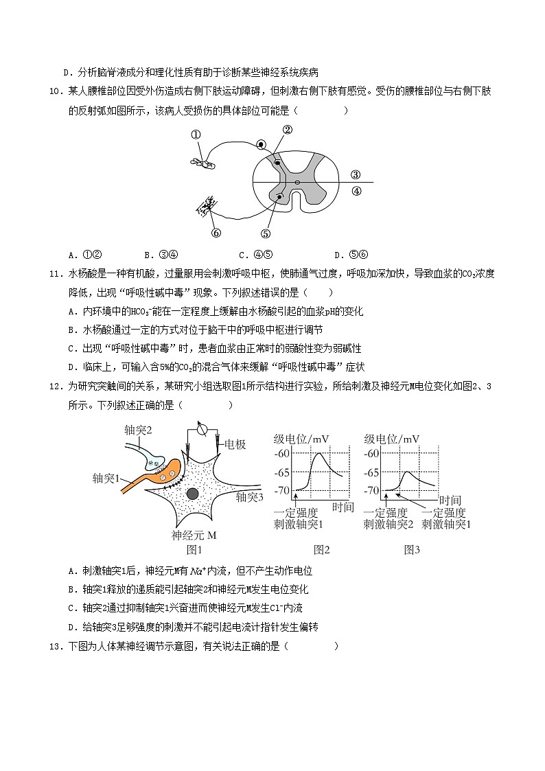 高二生物第一次月考卷不定项版【测试范围：人教版2019选择性必修1第1章~第2章】（考试版）第3页