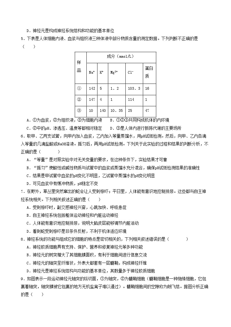 高二生物第一次月考卷单选版【测试范围：人教版2019选择性必修1第1章~第2章】（考试版）第2页