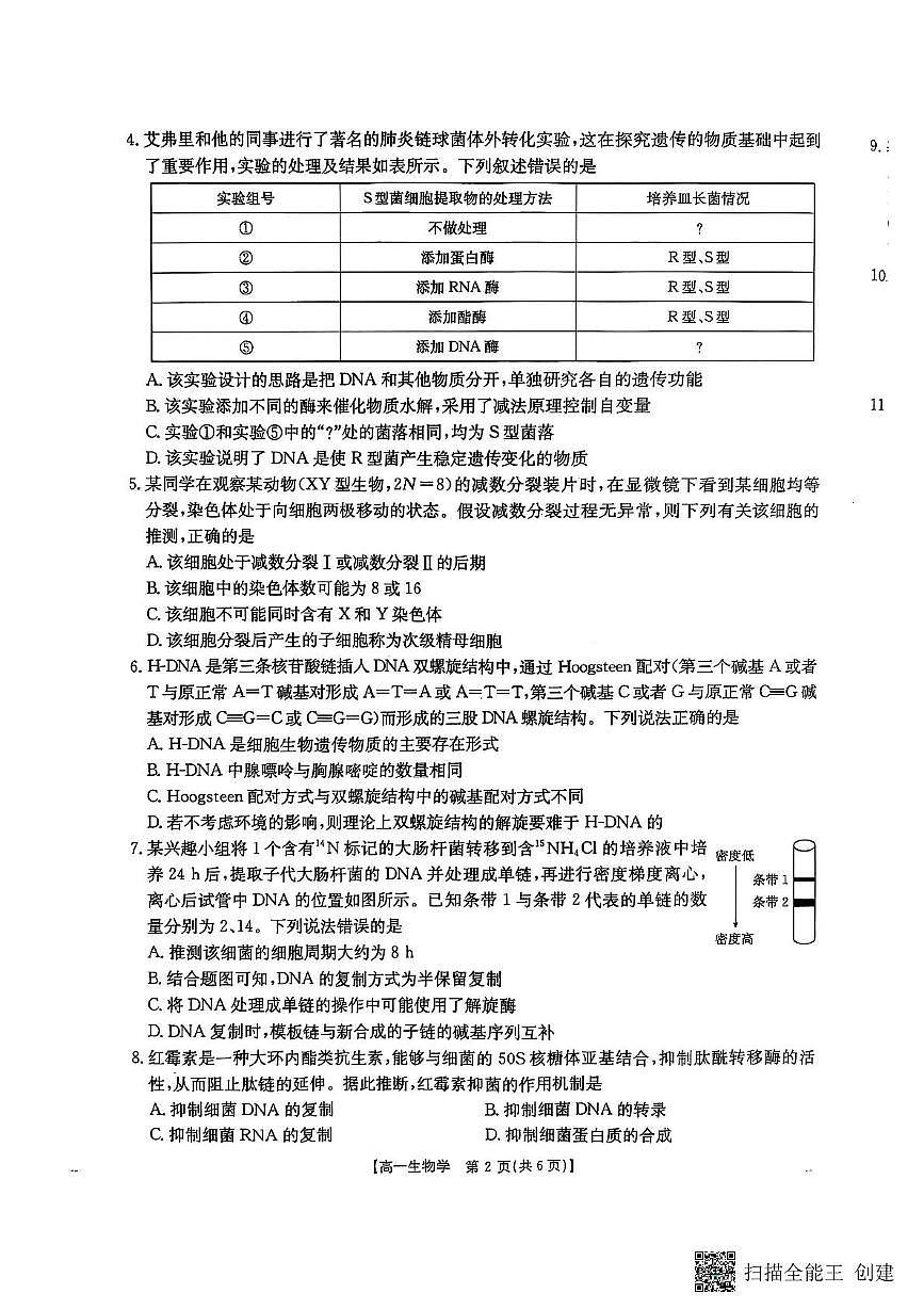 陕西省汉中市部分学校2024-2025学年高一下学期5月阶段性测试生物试卷第2页